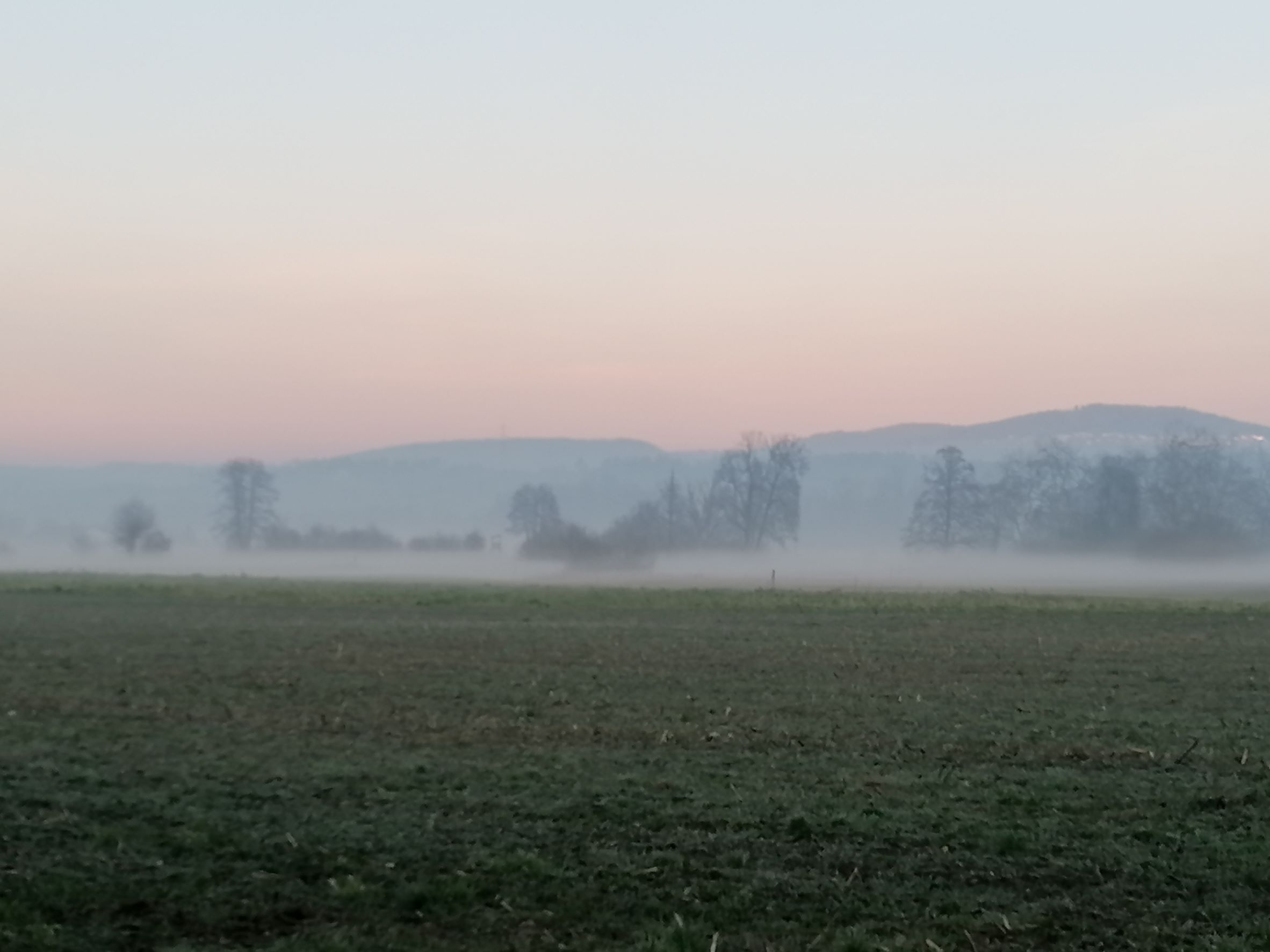 Aufkommender Nebel an der Reuss bei Mühlau